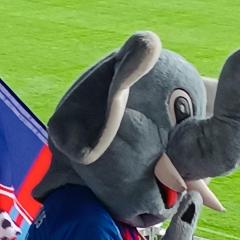 Grotifant